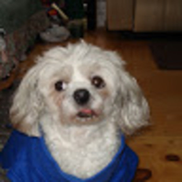 Meet your Posher, Lisa - Picture 1 of 1